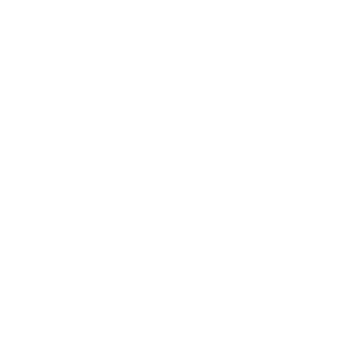 Konekcia